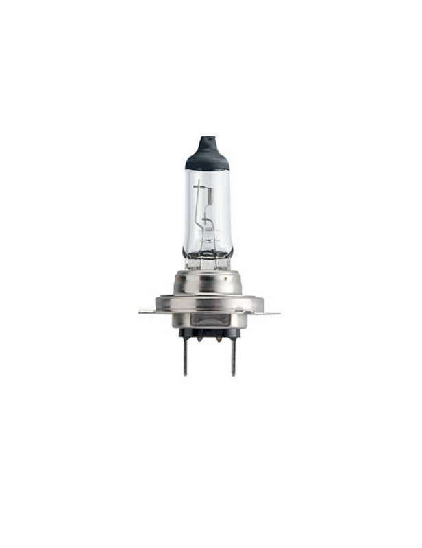 Bulb koplamp 12V/55W H7
